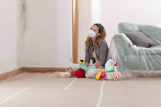 Reliable Black Mold Removal contractor in Elizabethtown, NC by WQB Mold Removal